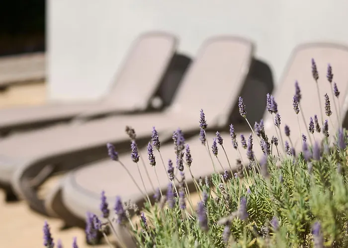 Martello Forest View Πόρετς