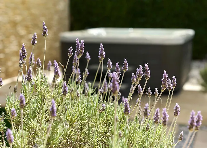 Martello Forest View Διαμέρισμα