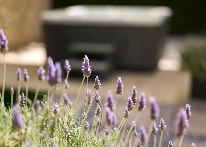 Διαμέρισμα Martello Forest View