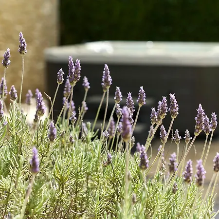 Martello Forest View Appartement