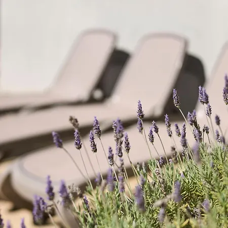 Martello Forest View Poreč