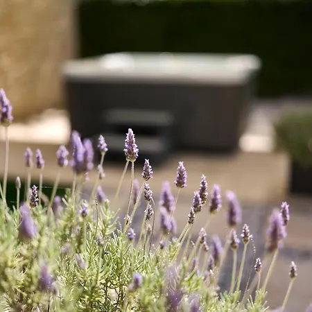 Apartament Martello Forest View